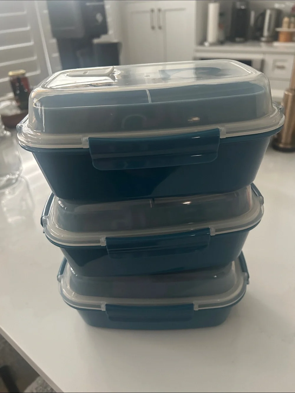 RTIC Food Container- BPA free, microwave safe- set of 3